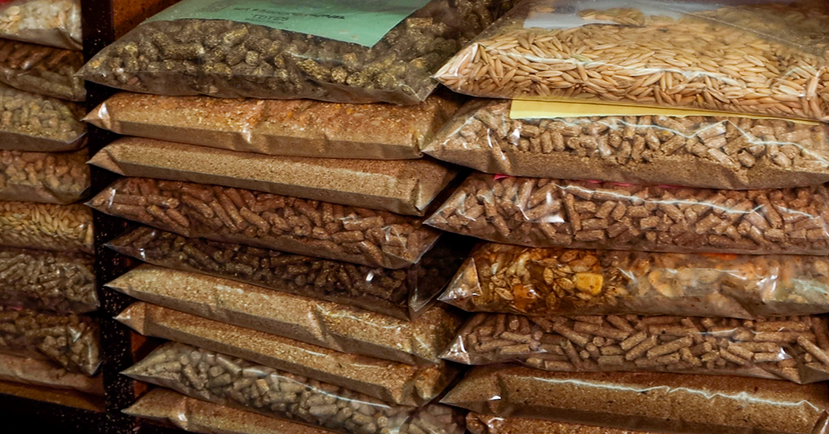 7 Conditions That Vary Livestock Feed Nutrients Helping to Grow